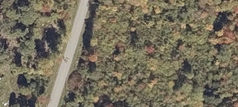 Wooded Residential Lot