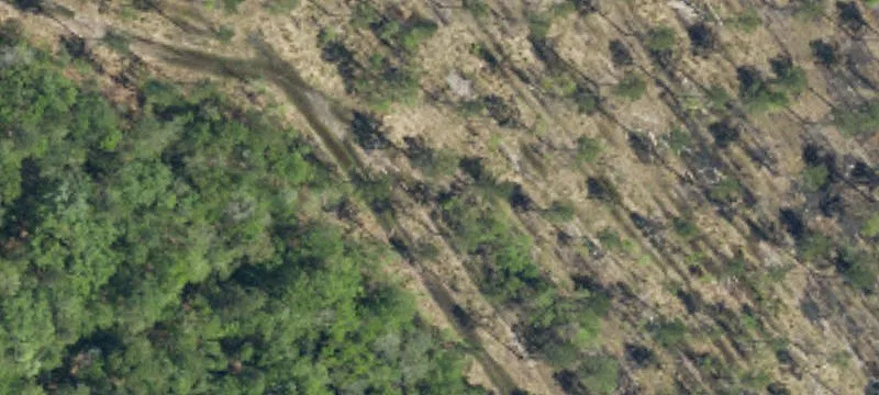 Partially Cleared Home Lot