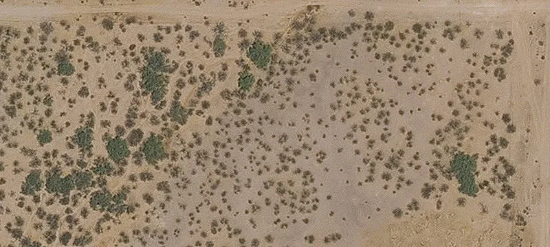 Flat Recreational Land Parcel