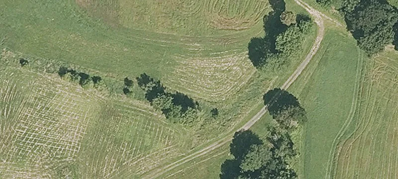 Industrially Zoned Cannabis Cultivation Land