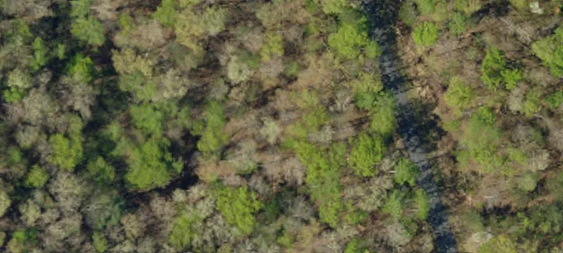 Mountain Homesite with Natural Features