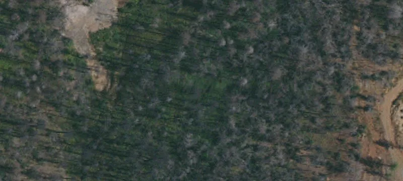 Mountain Farmland Parcel