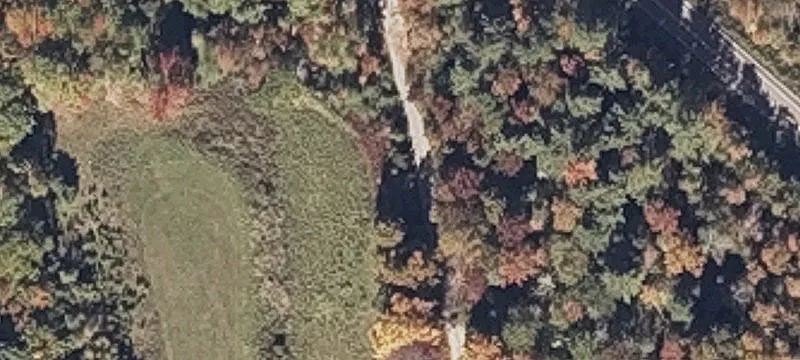 Timberland Woodlot for Recreation