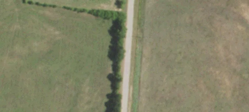 Pasture Land Tract