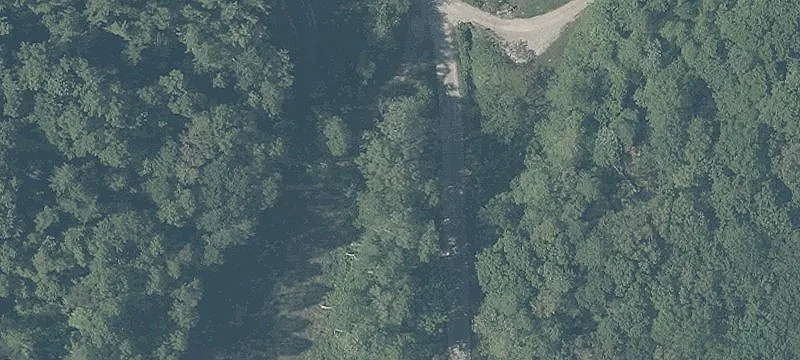 Wooded Hunting and Recreation Land