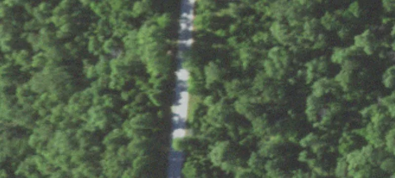 Wooded Hunting Land with Creek