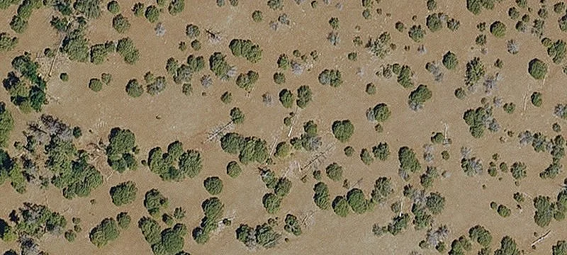 Luxury Homesite Cul-de-Sac Lot