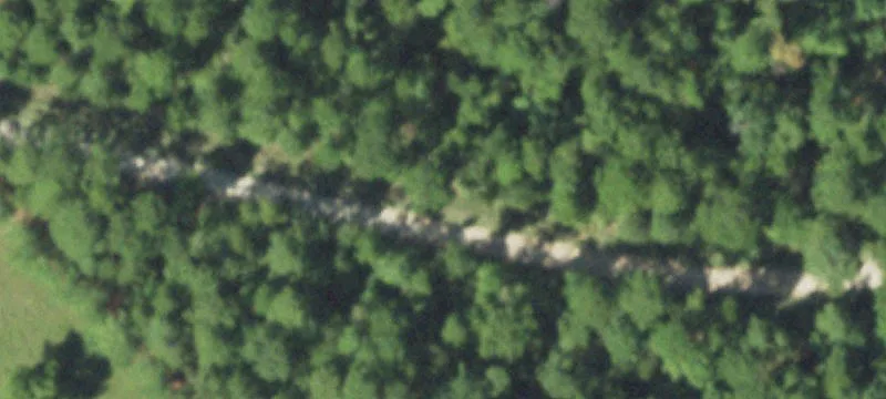 Partially Fenced Timber Hunting Tract