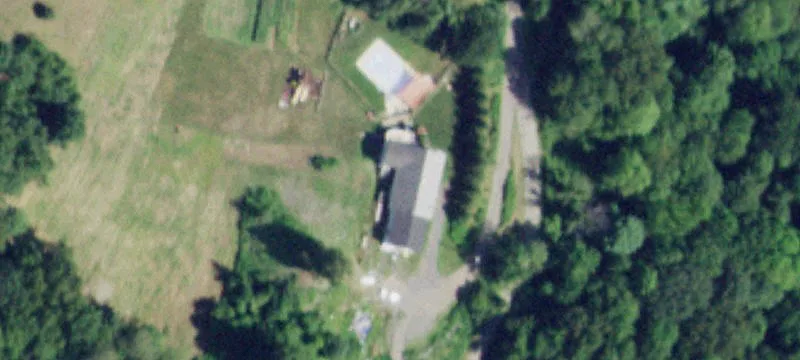 Wooded Building Lot