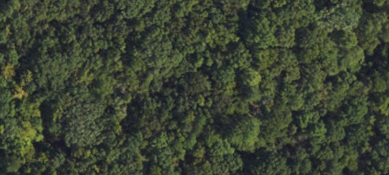 Specialty Land Site