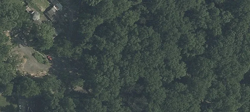 Three Lot Wooded Residential Land