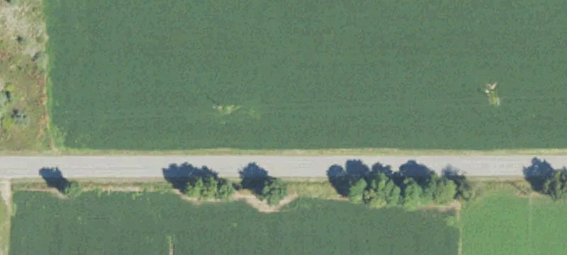 Hobby Farm with Horse Shelter