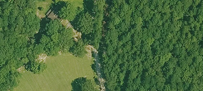 Wooded Hunting Land With Road Frontage