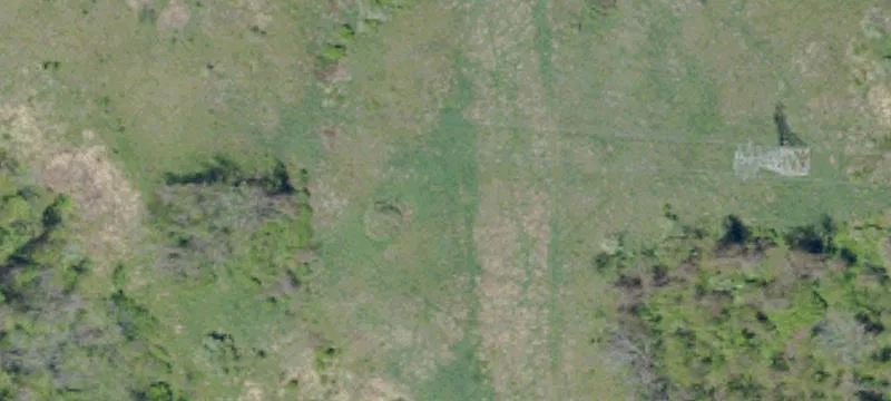 Wooded Land Tract