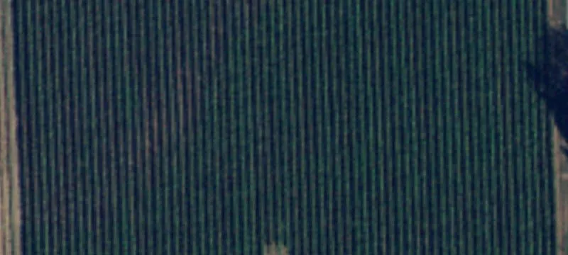 Agricultural Land with Farm Home