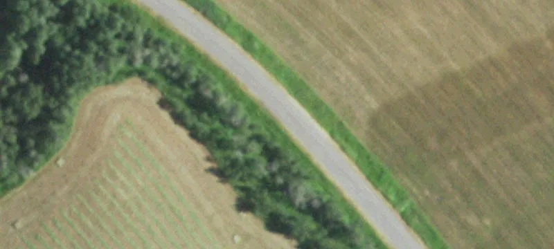 Recreational Hunting Land Parcel