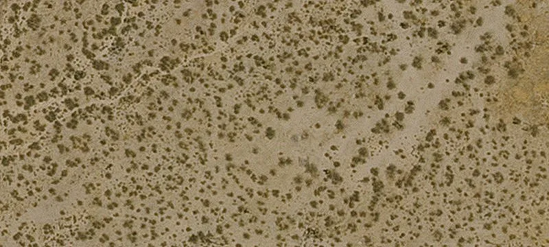 Residential Land Development Parcel