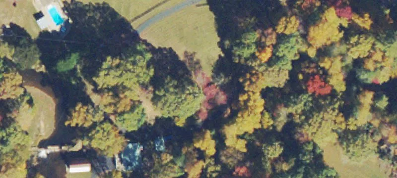 Creekfront Wooded Homesite Land