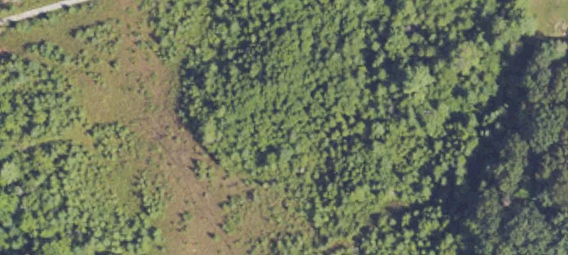 Private Lakefront Wooded Land Lots