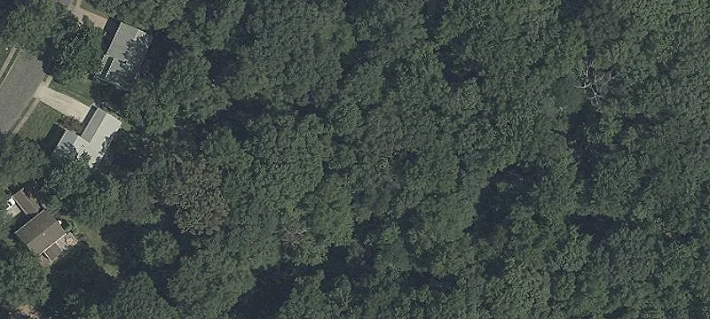 Residential Land for Custom Home
