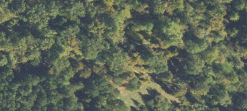 Cleared Horse & Hunting Land