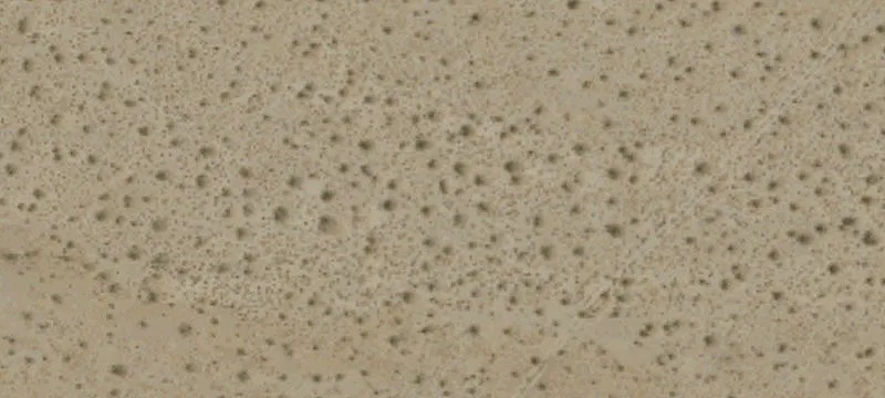 Specialty Land with Capped Well
