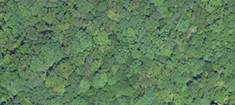 Residential Home Site Lot