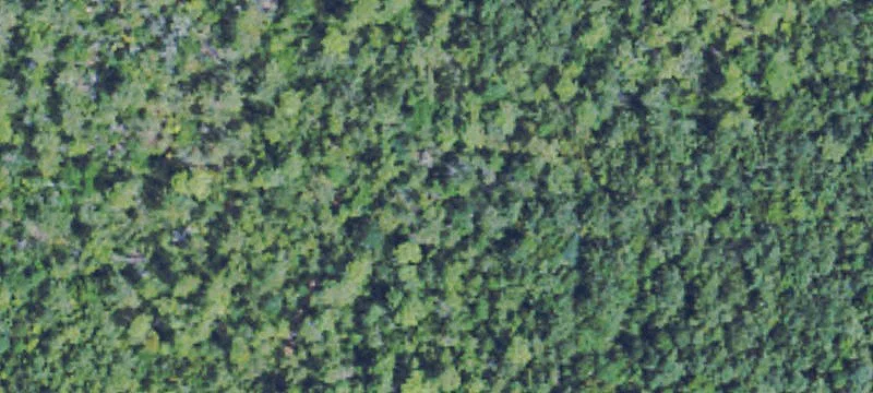 Mixed-Use Commercial Land Parcel