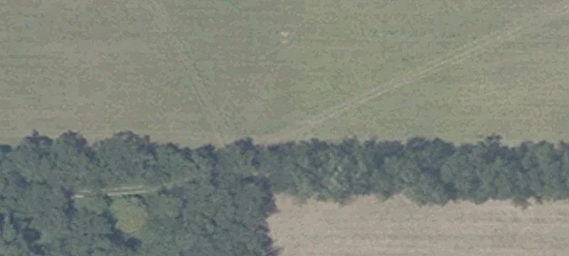 Agricultural Land with Wooded Acreage
