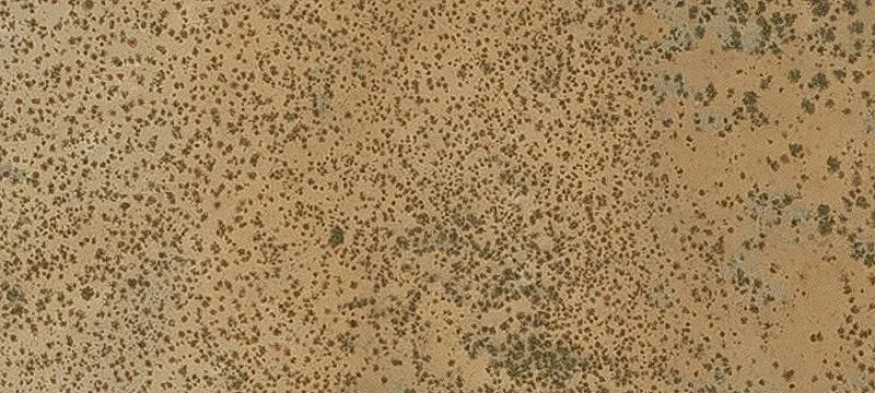 Level Buildable Land Parcel