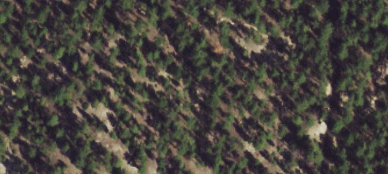 Wooded Residential Acreage on Cul-de-sac