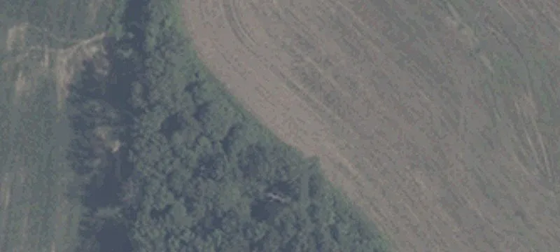 Recreational Hunting Land Tract