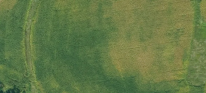Certified Organic Cropland Acreage