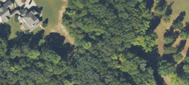 Wooded Estate Lot on Cul-de-Sac