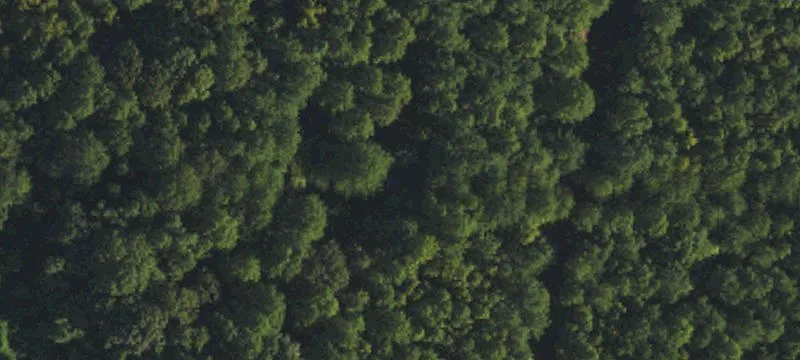 Acreage Tract with Road Frontage