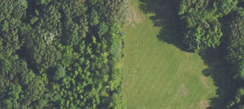 Hunting and Pasture Land