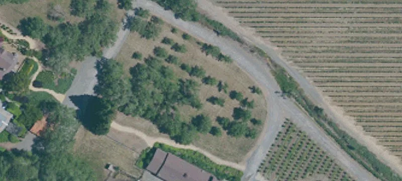 Vineyard Estate with River Frontage