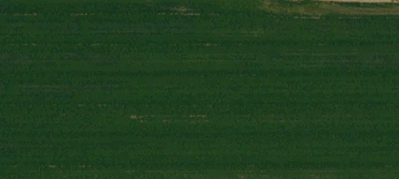 Agricultural Land with Private Residence