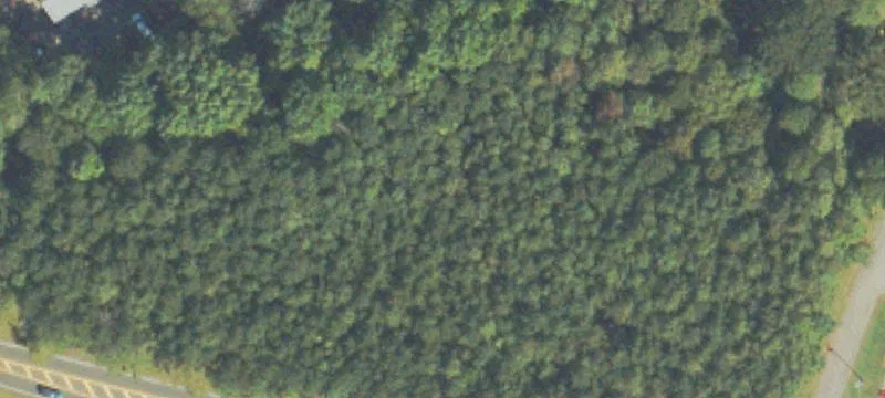 Specialty Land Parcel