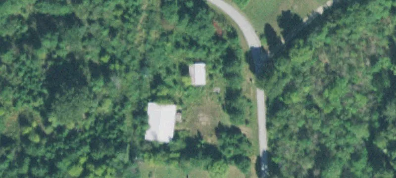 Unrestricted Wooded Hunting Tract
