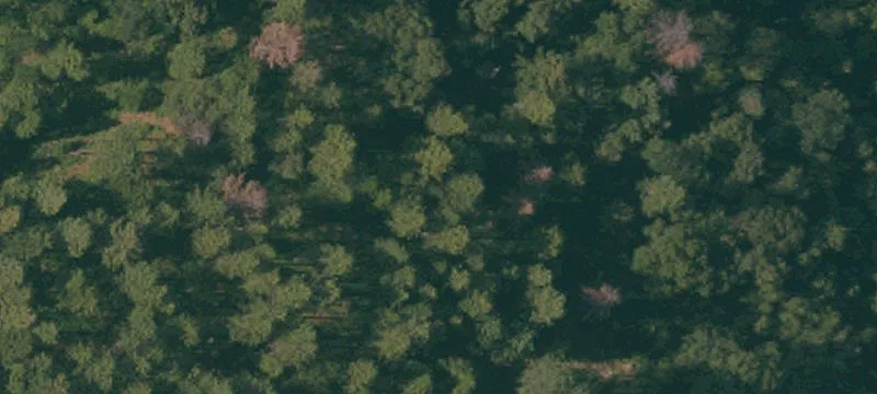 Agricultural Land Parcel