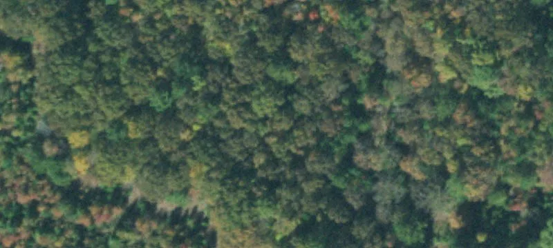 Wooded Acreage with Road Frontage