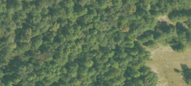 Agricultural Land Parcel