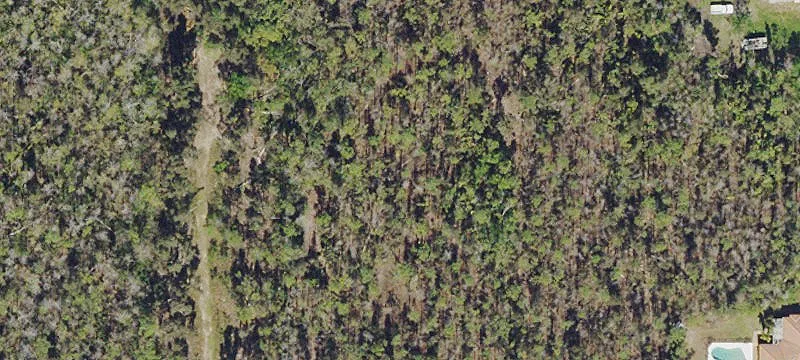 Estate Home Lot with Wetlands