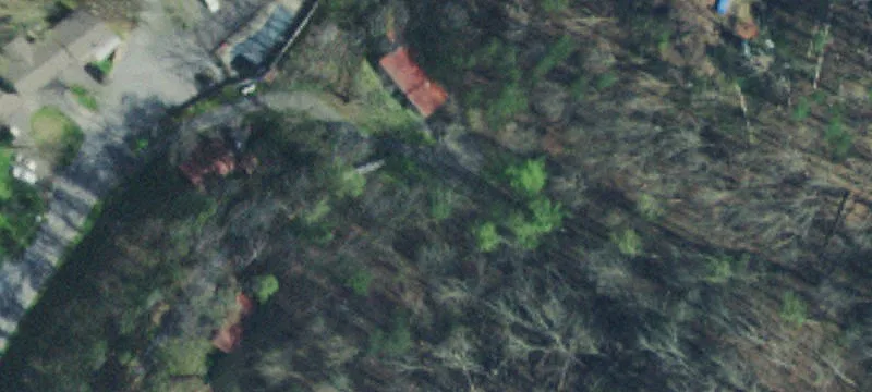 Cabin Rental Property with Four Cabins