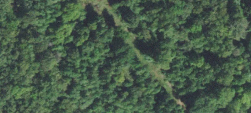 Wooded Home Lot with Road Frontage