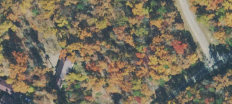 Wooded Residential Land Parcel