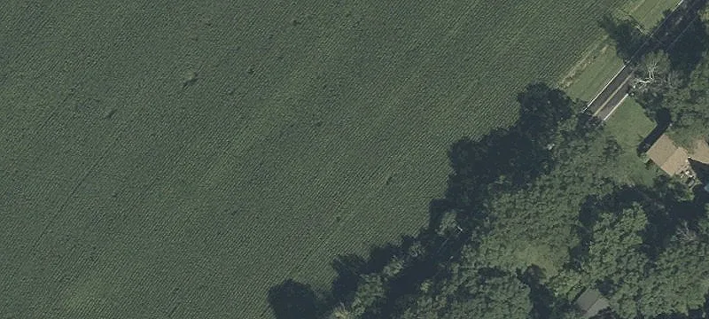 Wooded Residential Land Parcel