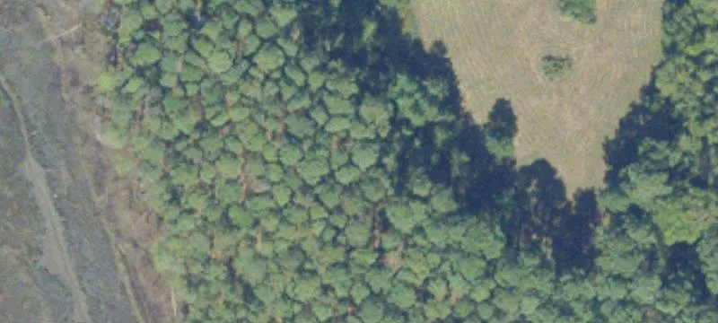 Partially Wooded Residential Lot