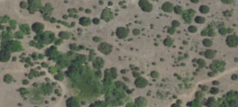 Fenced Ranch with Shop and Pens